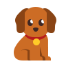 Puppy Atlas Web Development